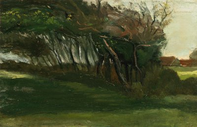 Landschap met windgeblazen bomen, ca. 1883-84 door Vincent van Gogh