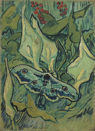De grote groene pauw (doodshoofdvlinder) door Vincent van Gogh