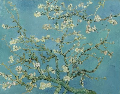 Amandelbloesem. 1890 door Vincent van Gogh