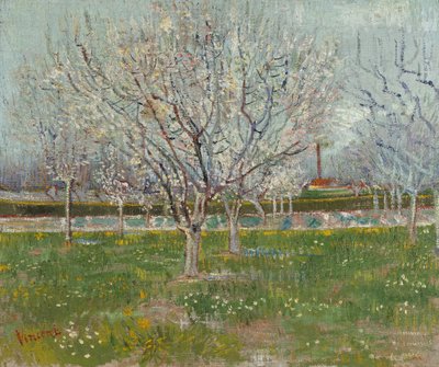 Boomgaard in bloei (pruimenbomen) door Vincent van Gogh