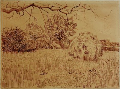 Park met struik door Vincent van Gogh