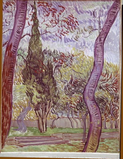 Park van het Saint-Paul Ziekenhuis in Saint-Remy-de-Provence door Vincent van Gogh