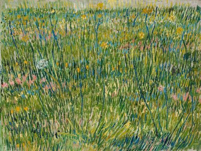 Grasveld door Vincent van Gogh