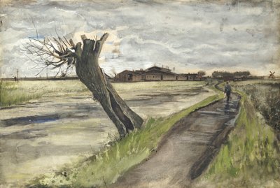 Knotwilg, 1882 door Vincent van Gogh
