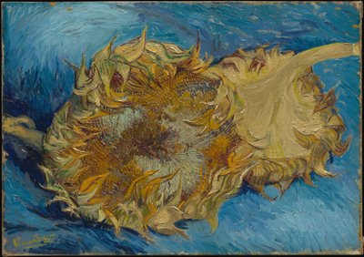  door Vincent van Gogh