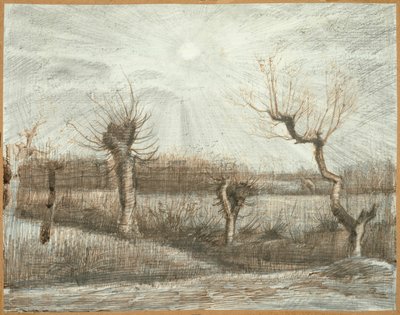 Knotwilgen door Vincent van Gogh