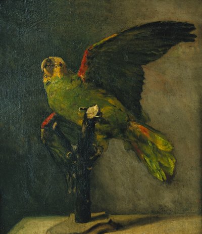 De groene papegaai; Le Perroquet Vert, 1885 door Vincent van Gogh