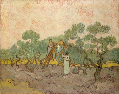 De Olijfplukkers, Saint-Remy door Vincent van Gogh