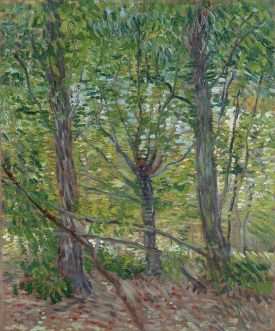 door Vincent van Gogh