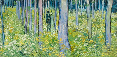  door Vincent van Gogh