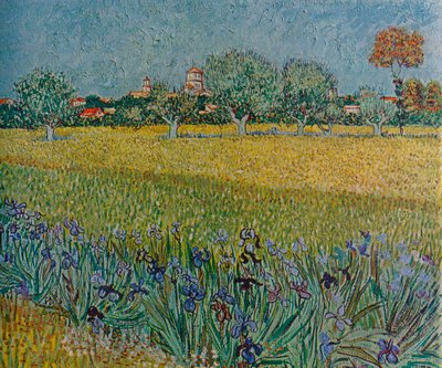 Uitzicht op Ales met bloeiende irissen, 1888 door Vincent van Gogh
