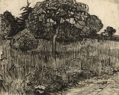 Huilende boom, 1889 door Vincent van Gogh