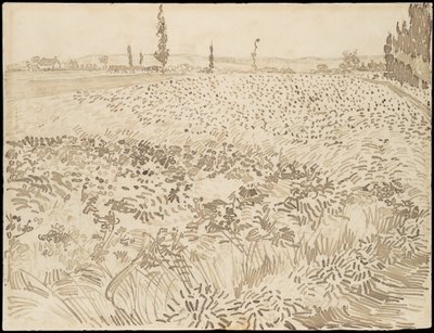  door Vincent van Gogh