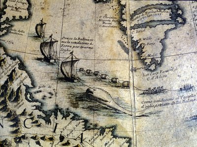 Walvisvangst: de walvis wordt aan land gebracht om olie te winnen. Van Coronelli