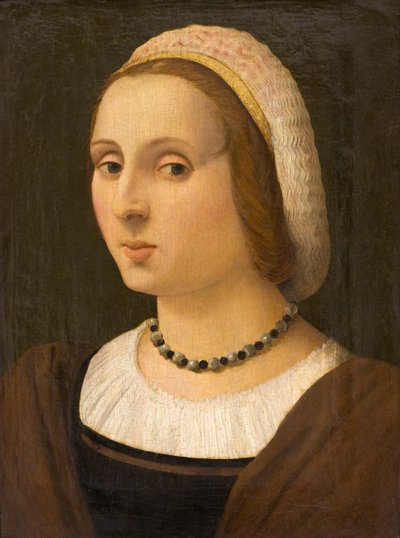 Portret van een Dame door Vincenzo Tamagni