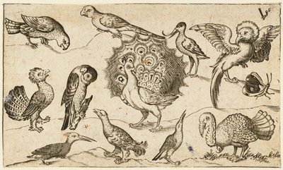 Pauw in het midden omringd door negen andere vogels, waaronder een kalkoen, en een vlinder, 1572 door Virgil Solis