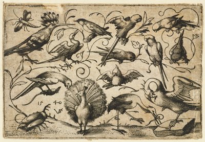 Tien vogels op kleine loofranken met een ooievaar die een rank om het been van een pelikaan bindt..., 1540 door Virgil Solis