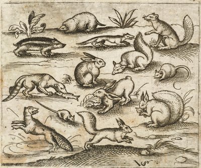 Groep kleine bosdieren die rond een vijver eten en rennen, waaronder muizen, een konijn, een eekhoorn, een wasbeer, een bosmarmot, een fret, een marter en een das door Virgilius the elder (after) Solis
