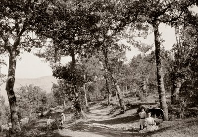 Wandeling door het bos door Vittorio Alinari