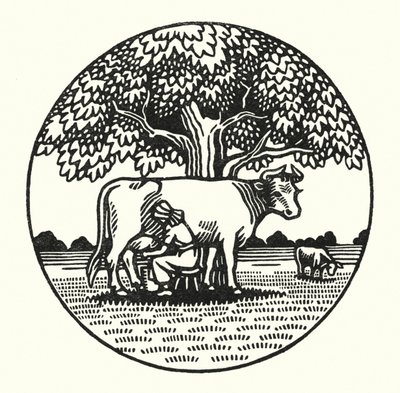 Illustratie voor Tess Of The D