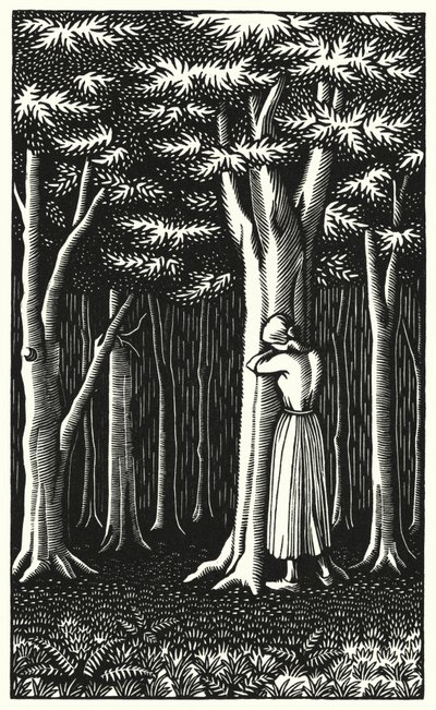 Illustratie voor Tess Of The D