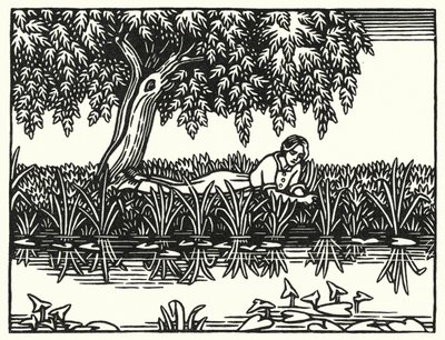 Illustratie voor Tess Of The D’Urbervilles door Thomas Hardy door Vivien Gribble