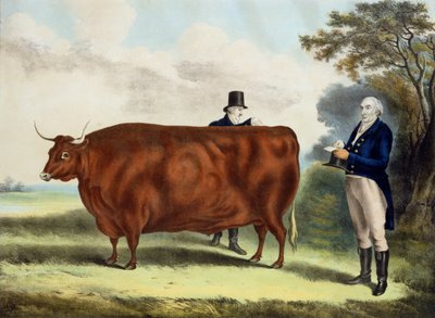 Portret van de heer T.W. Coke Esq. en Clerk Hilliard Esq. met een Noord-Devon Os door W.H. Davis