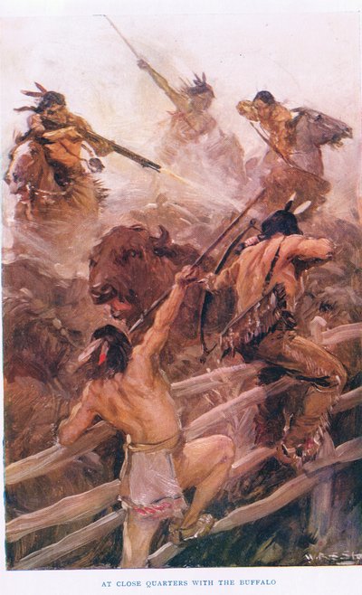Van dichtbij met de buffel, illustratie uit 