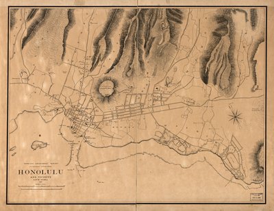 Honolulu en omgeving door W. A.; Alexander Wall