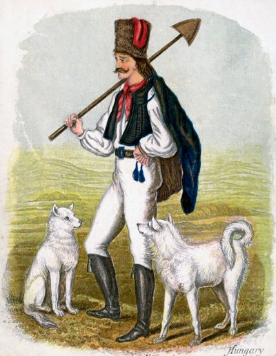 Hongaarse man met honden door W. Dickes