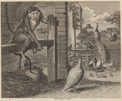 De Baviaan en het Pluimvee door W. Grainger