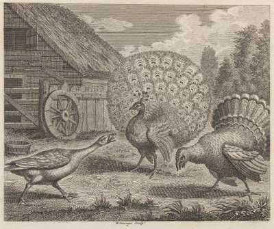 De pauw, de kalkoen en de gans door W. Grainger