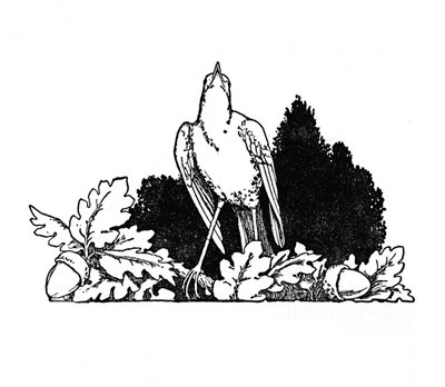 Tussen de Takken Woonde een Nachtegaal, ca. 1930 door William Heath Robinson