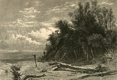De oever bij Lake Forest, 1874 door W. J. Linton