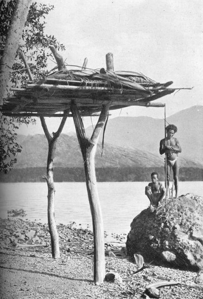 Dodenplatform in Nieuw-Guinea, 1902 door W. Lindt