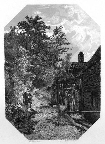 Jacob van Ruysdael, 17e-eeuwse Nederlandse landschapsschilder door W. Steelink