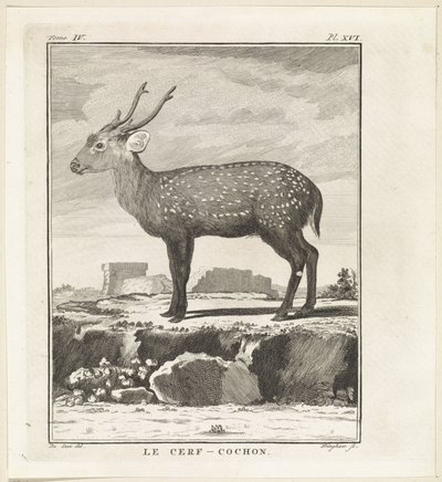 Hert door W. Tringham