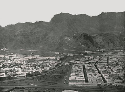 Algemeen overzicht van de kamelenmarkt, Aden, 1895 door W and S Ltd