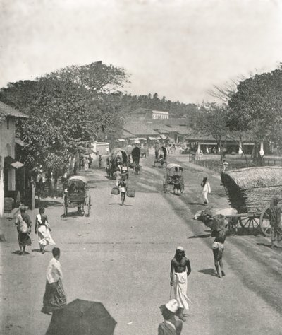 Straatscène nabij het stadhuis, Colombo, Ceylon, 1895 door W and S Ltd