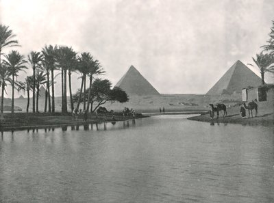 De Piramides en de Nijl, Gizeh, Egypte, 1895 door W and S Ltd