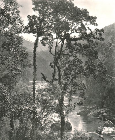 Uitzicht op de Kelani-rivier, Kurunegala, Ceylon, 1895 door W and S Ltd