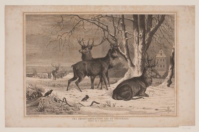 Van de Hermitagevlakte op een winterdag door Waldemar Bøhme