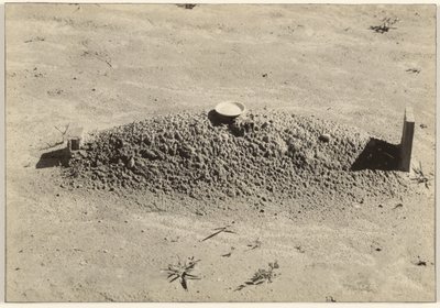 Een doopsgezind graf, Hale County, Alabama door Walker Evans