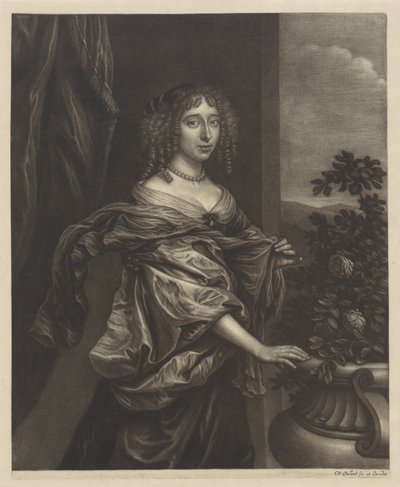 Portret van een vrouw bij een rozenstruik door Wallerant Vaillant