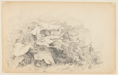 Studie van gras en planten door Walter Clark