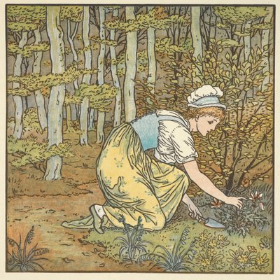 Kleurenillustratie voor 
