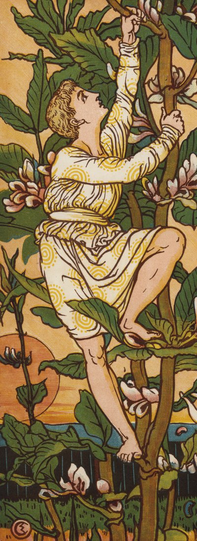 Jaap en de bonenstaak (kleur litho) door Walter Crane