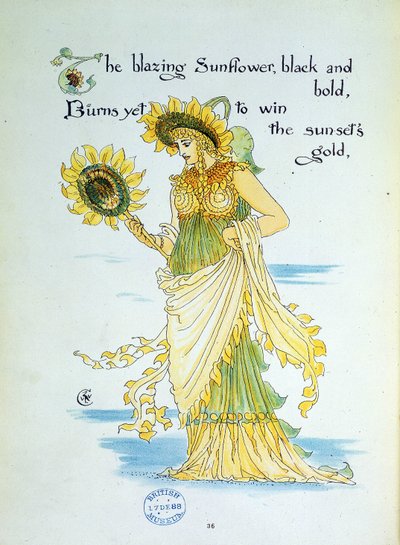 De zonnebloem (zonnebloem) gepersonifieerd in een jonge vrouw gekleed in geel en groen. Plaat 36 uit 