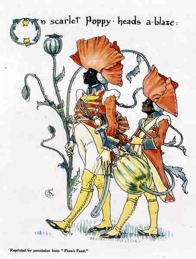 Papaverhoofden, uit Flora