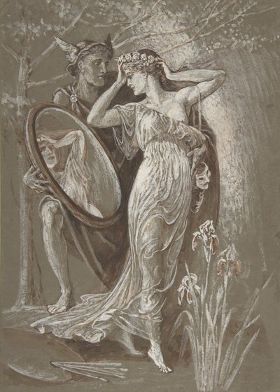 De Spiegel van Venus, of L
